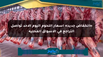 «انخفاض جديد» أسعار اللحوم اليوم الأحد تواصل التراجع في الأسواق المحلية